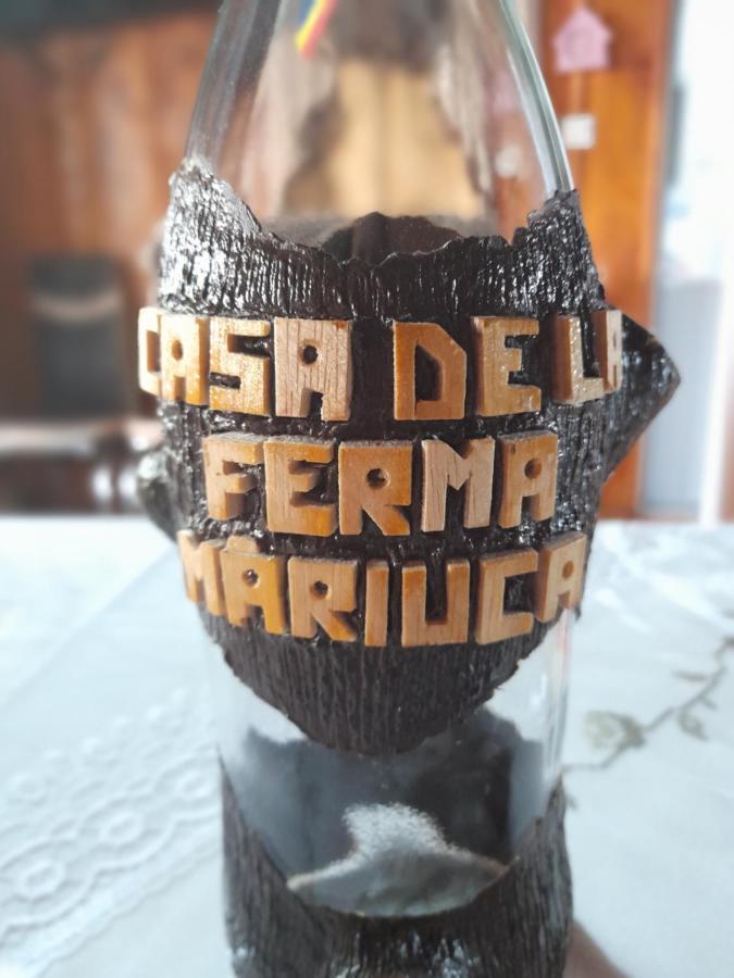 הוילה Berbesti Casa De La Ferma Mariuca מראה חיצוני תמונה
