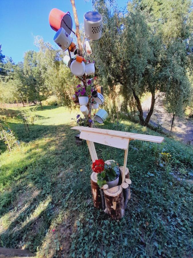 הוילה Berbesti Casa De La Ferma Mariuca מראה חיצוני תמונה
